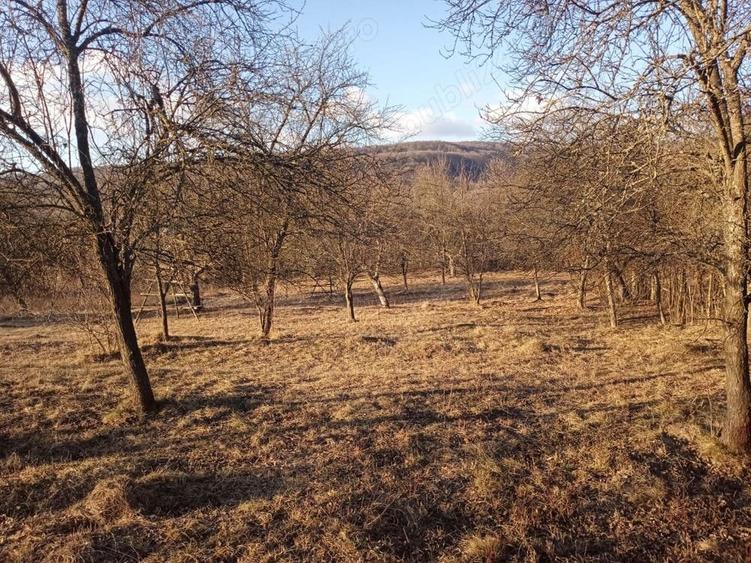 Teren de 4700 mp, în Vâlsănești