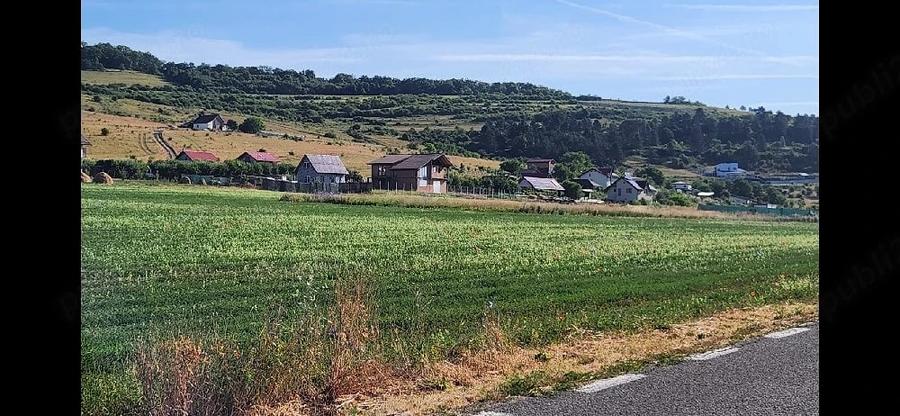 PF vind teren Intre case, de 570mp extravioan Floresti, linga Donath Park - 4