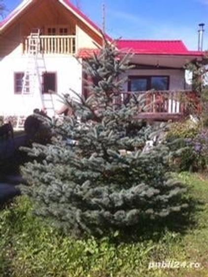 Casă cu 6 camere în Câmpeni