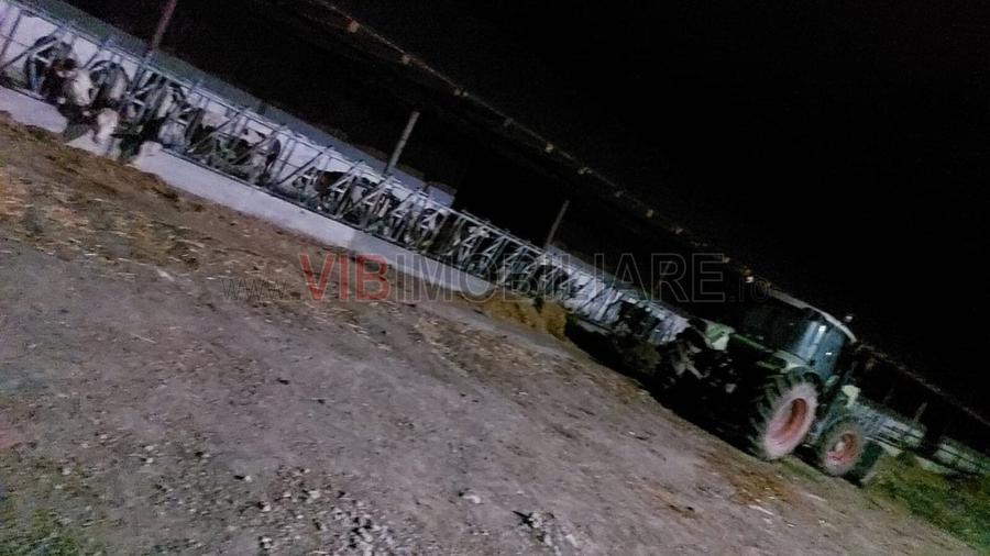 Teren extravilan de 40000 mp, în Cenad