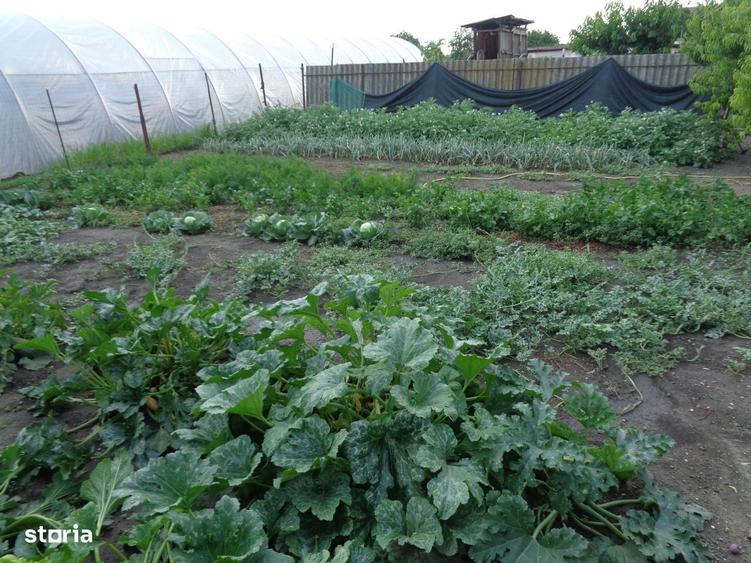 Casă cu 3 camere cu Teren 748 Mp în Central