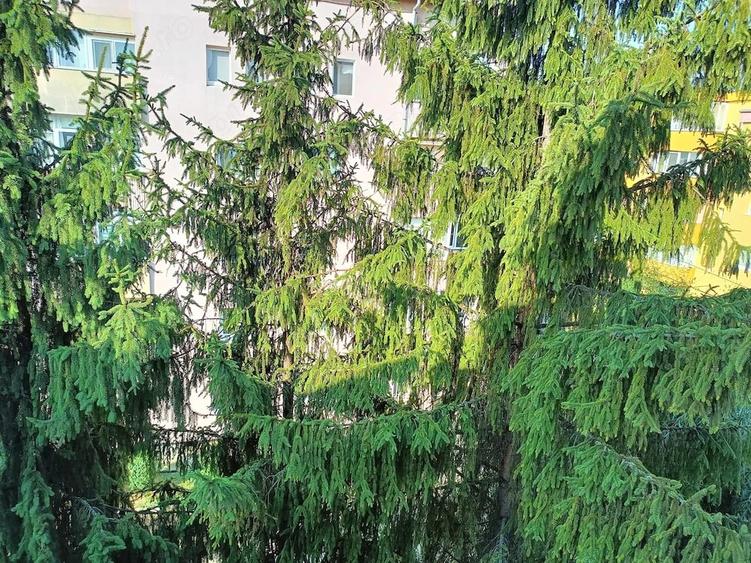 Garsonieră decomandată în Mănăștur