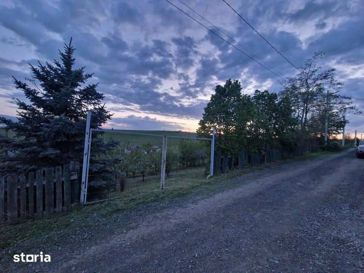 Teren de 1250 mp, în Șura Mare