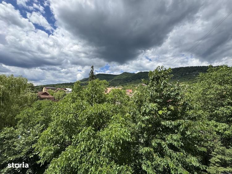Apartament cu 2 camere decomandat în Săsar