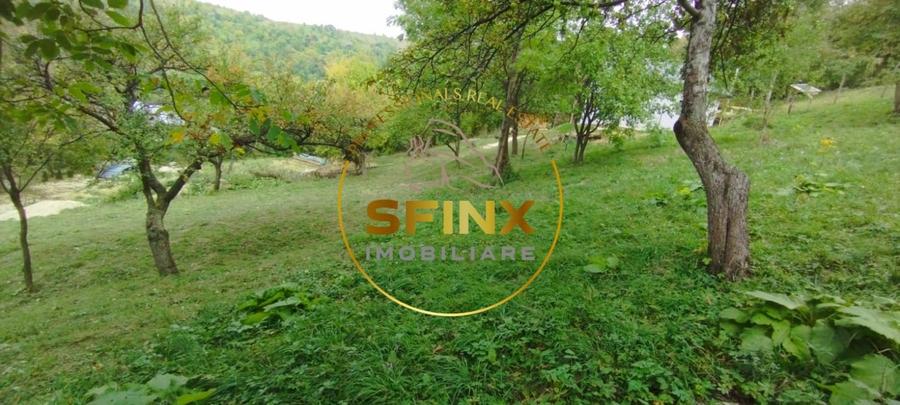 Teren Construcții intravilan de 2960 mp, în Poiana Ciurii