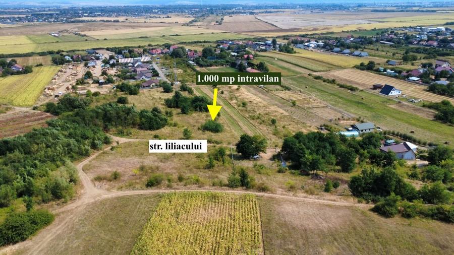 Teren Construcții de 1000 mp, în Fântânele (Hemeiuș)