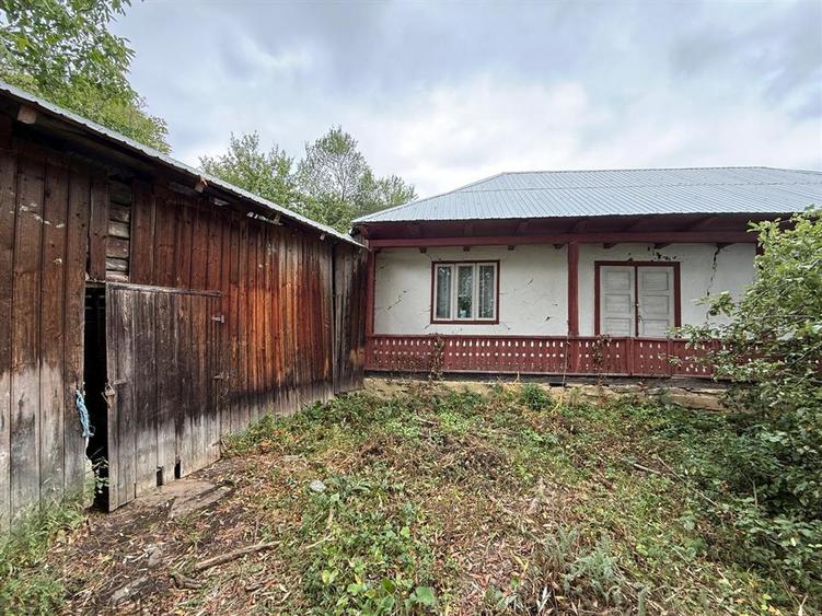 Casă cu 3 camere cu Teren 5913 Mp în Paltin