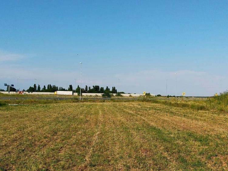 Teren intravilan 2,502mp Moara Vlasiei - 5