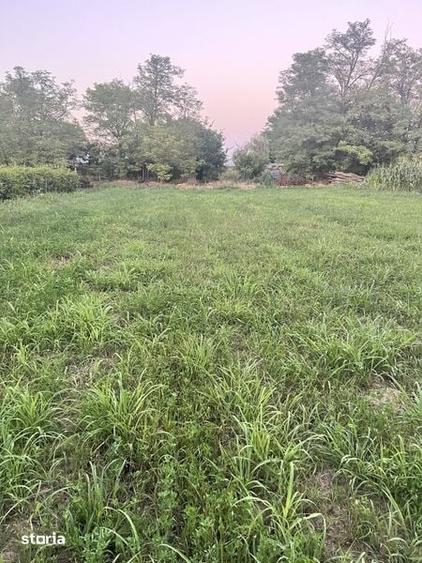 Teren de 1300 mp, în Umbrărești