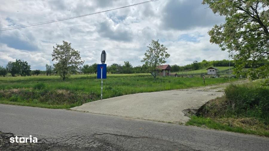 Teren intravilan Ardud Vii Satu Mare - 4