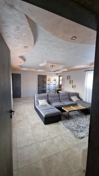 Apartament cu 2 camere semidecomandat, mobilat în Iosefin