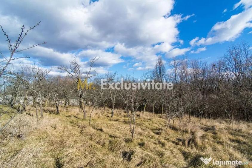 Casă cu 3 camere cu Teren 4145 Mp în Vedea