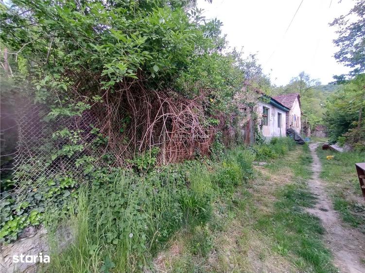 Sasca Montana | Oportunitate | Casa cu 230 MP Teren - 7