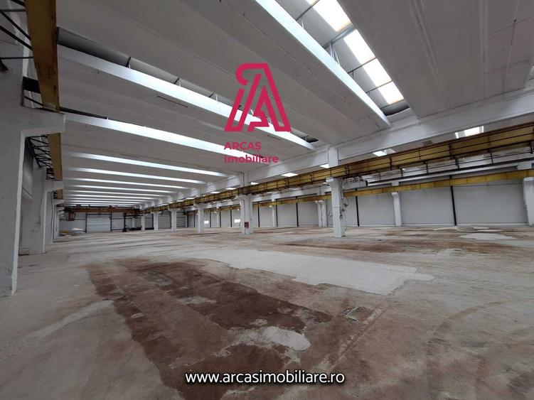 Spațiu industrial, de 6,857 mp, în Mârșa
