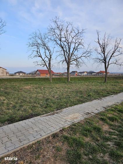 Teren de 21600 mp, în Gepiu