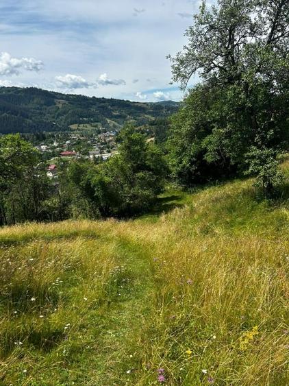 Teren Construcții intravilan de 5833 mp, în Bistra