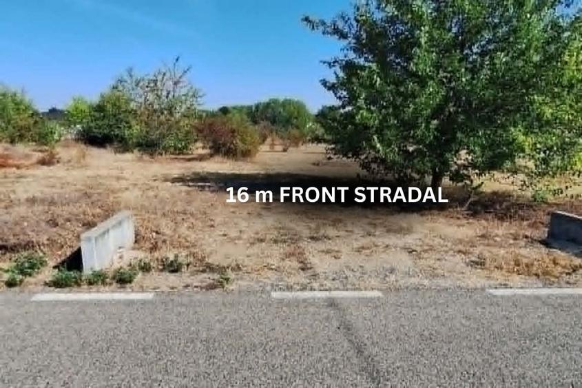 Teren Construcții intravilan de 775 mp, în Felnac