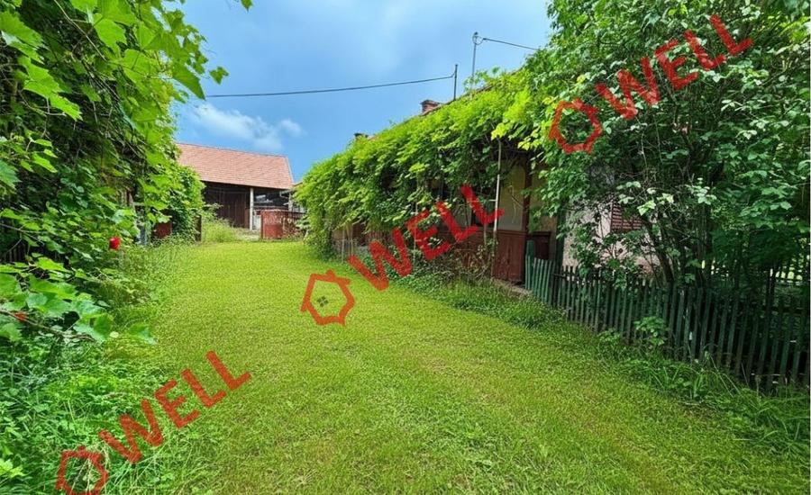 Casă individuală cu 3 camere cu Teren 2136 Mp în Lemnia