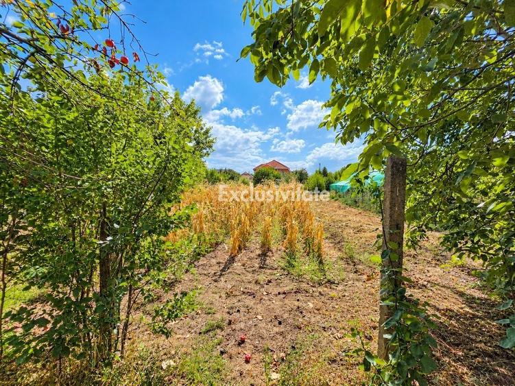Casă individuală cu 2 camere cu Canalizare în Careiului