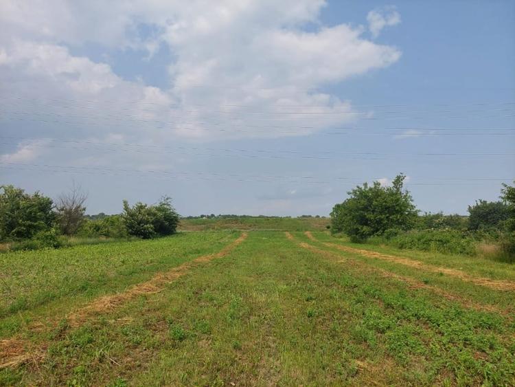 Teren Construcții intravilan de 3800 mp, în Lilieci