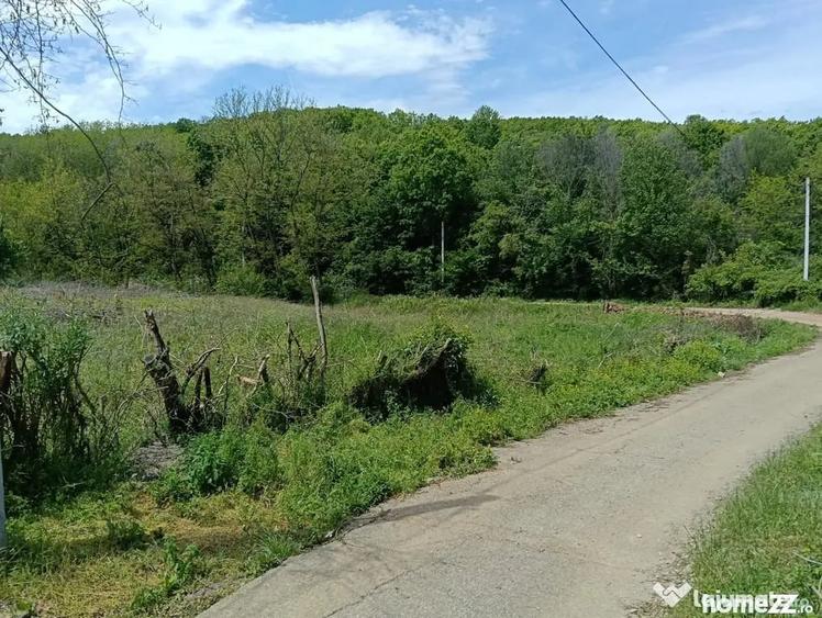 Teren de 1807 mp, în Cocorăștii Mislii
