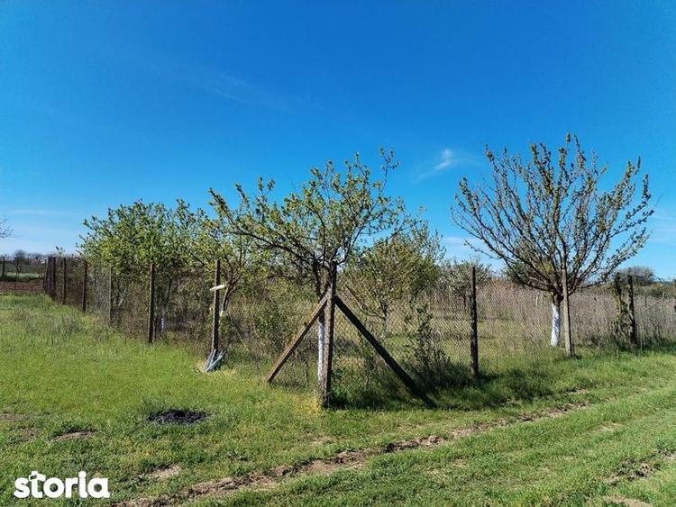 Teren de 500 mp, în Theodor Pallady