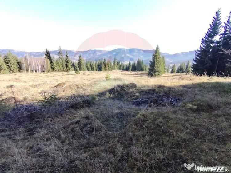 Teren de 16289 mp, în Coverca