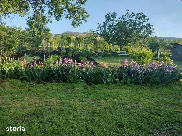 Casă cu 3 camere cu Teren 4500 Mp în Breaza