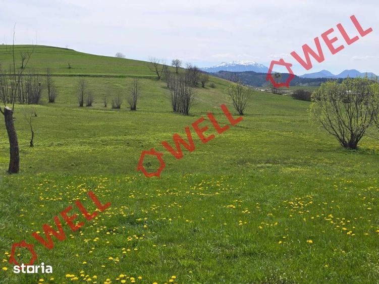 Teren de 6519 mp, în Barcani