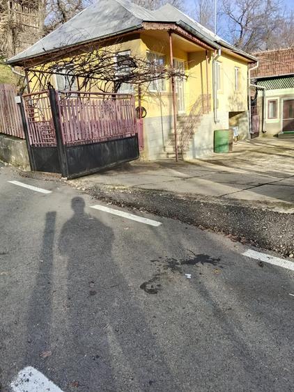Casă cu 3 camere cu Teren 1538 Mp în Măgura (Bezdead)