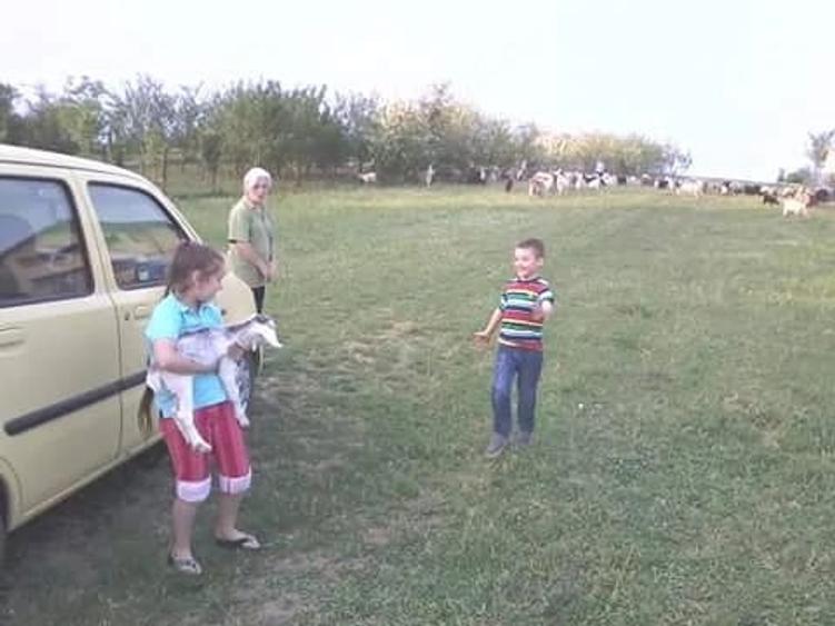 Teren de 4000 mp, în Podu Ilfovățului