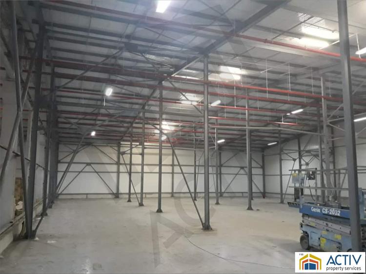 Spațiu industrial, de 3,850 mp, în Sud