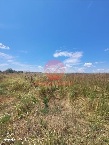 Teren Intravilan Cumpana 510m, Zona Aflata in Dezvoltare - 2