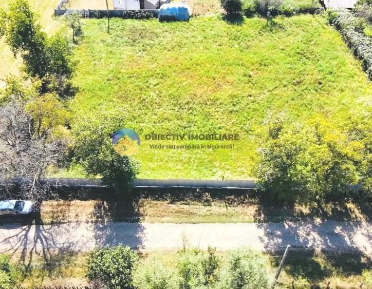 Teren de 3260 mp, în Chintinici