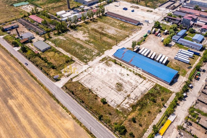 Teren Construcții intravilan de 16000 mp, în Căteasca