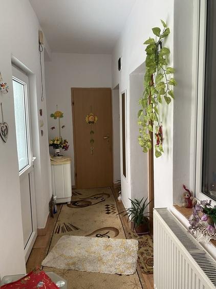 Casă cu 2 camere cu Teren 30 Mp în Sadu