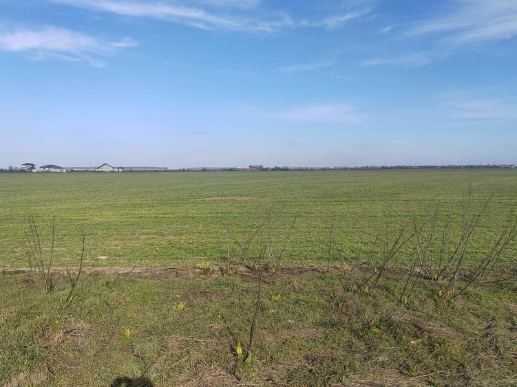 Teren Construcții intravilan de 8650 mp, în Cernica