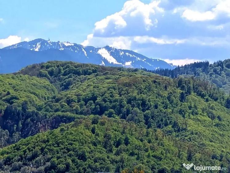 Apartament 2 camere Avantgarden ,mobilat,parcare,beci,135500 - 3