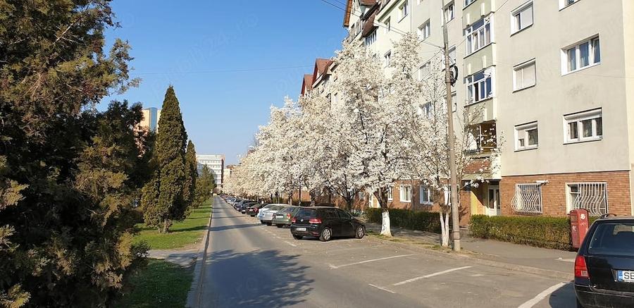 Apartament cu 2 camere decomandat în Ultracentral