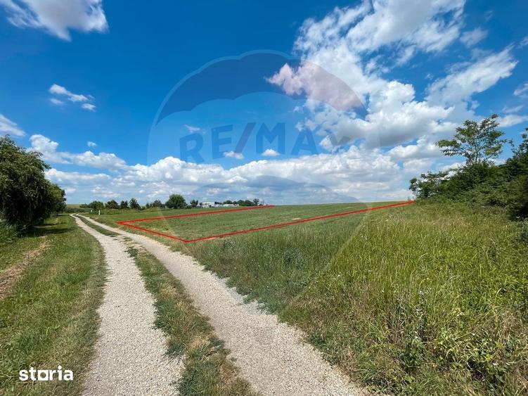 Teren de 4350 mp, în Vasilați