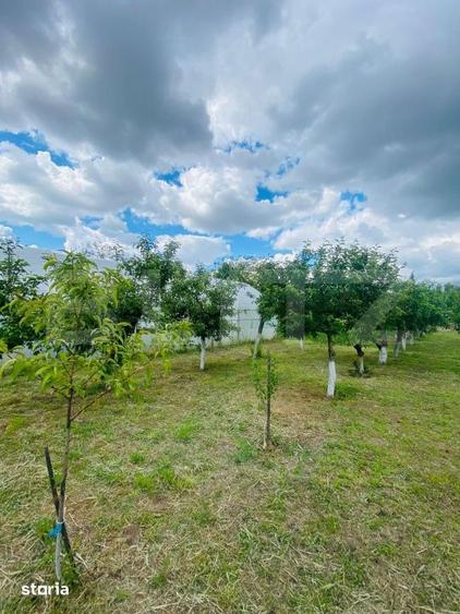 Casă cu 4 camere cu Teren 2753 Mp în Celaru