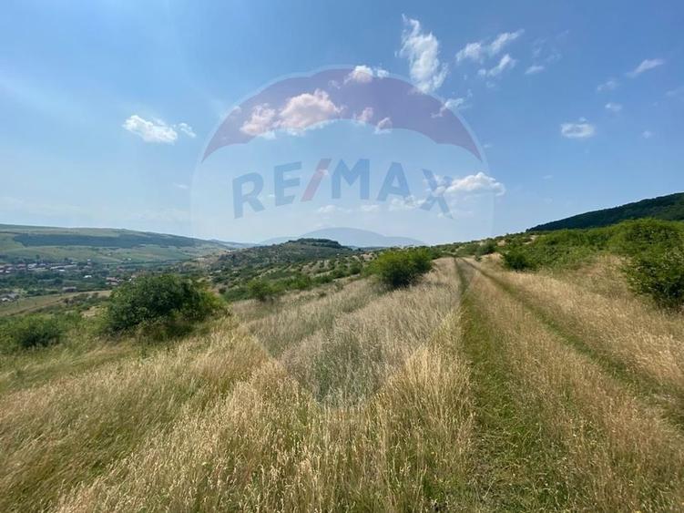 Teren Construcții intravilan de 11000 mp, în Mera