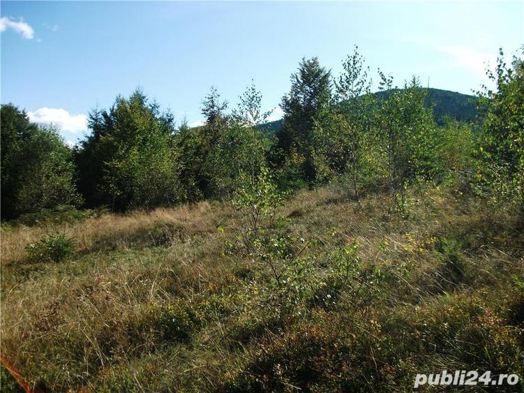 Teren de 1507 mp, în Arieșeni