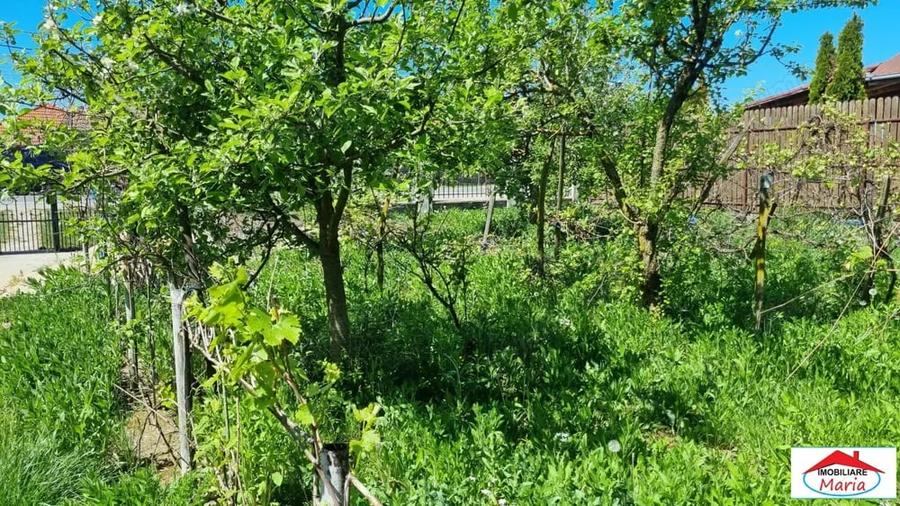 Casă cu Teren 1500 Mp în Lucian Blaga