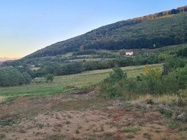 Teren de 1800 mp, în Poplaca