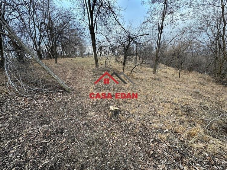 Casă cu Teren 3074 Mp în Cornu