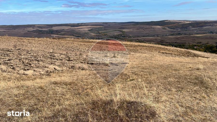 Teren 4000mp Padureni Ciurila in Arenda | Pachet 2 Loturi 7000 mp