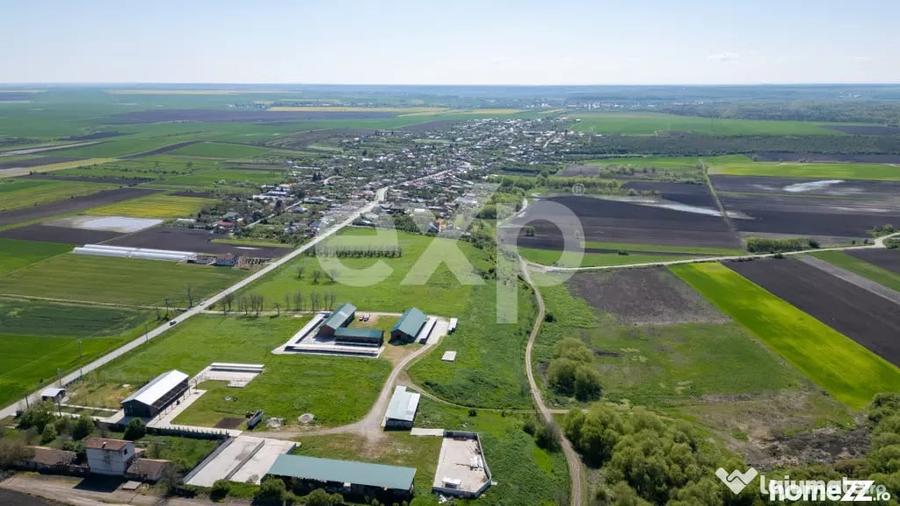 Black Angus Farm with authorized Slaughterhouse - 15