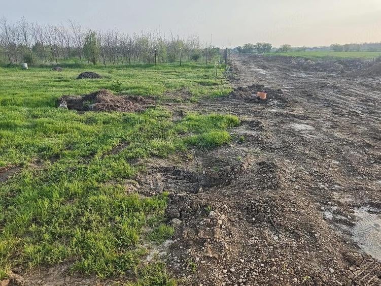 Teren de 920 mp, în Pruni