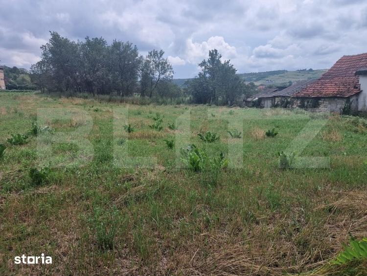 Teren de 900 mp, în Borșa